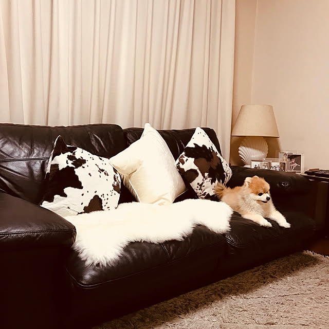 norinoriさんの実例写真