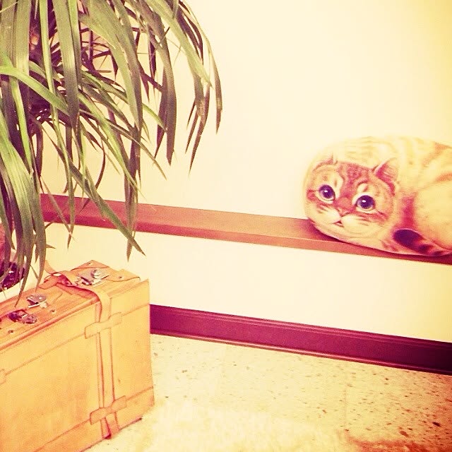 monさんの実例写真