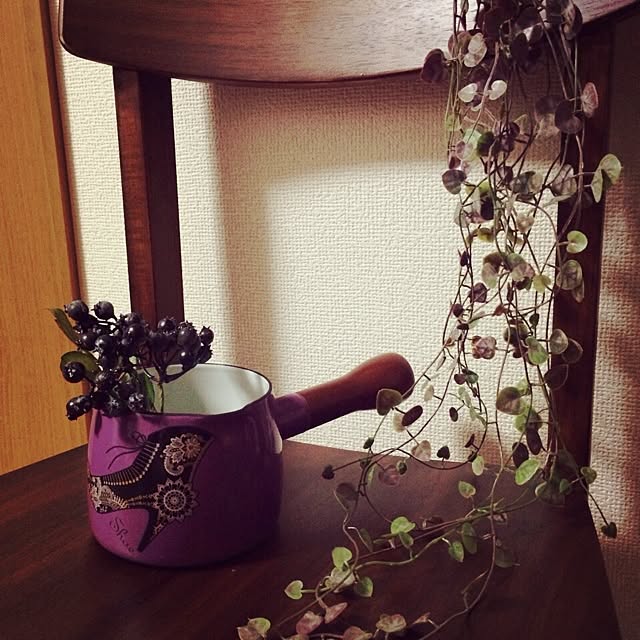 Shihoさんの実例写真