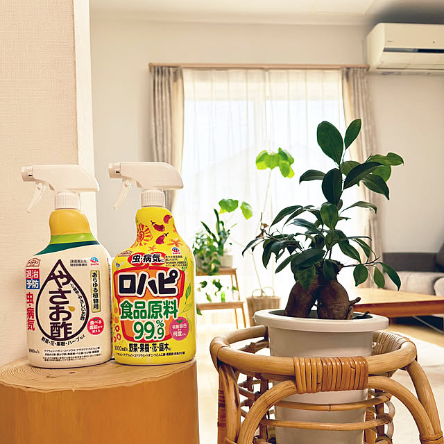 ma...さんの実例写真