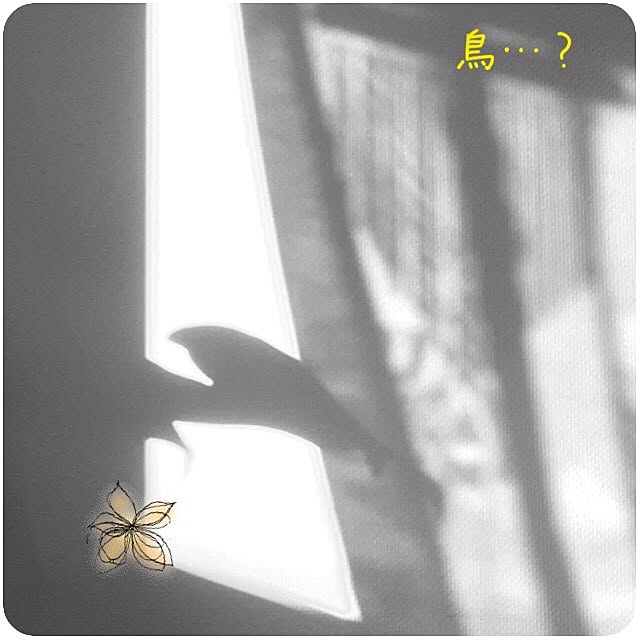 mana3さんの実例写真