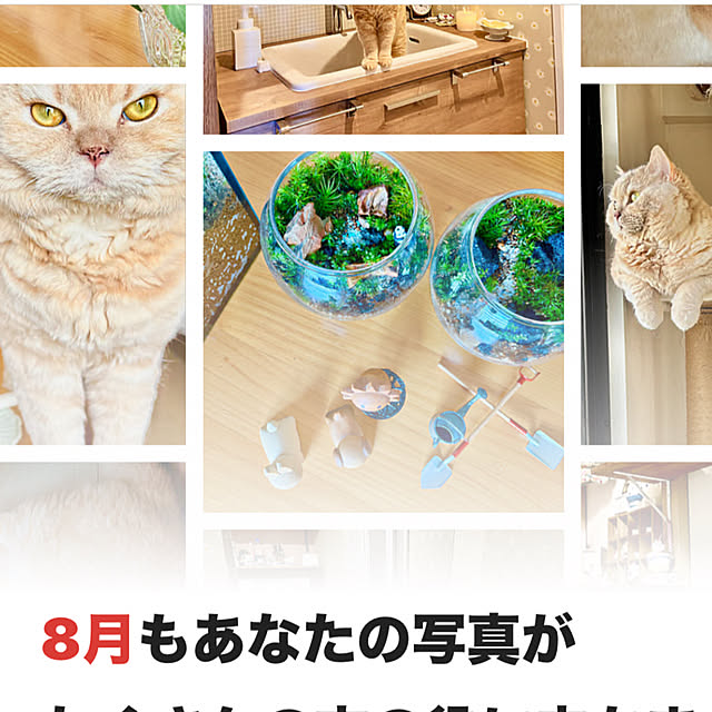 naokoさんの実例写真