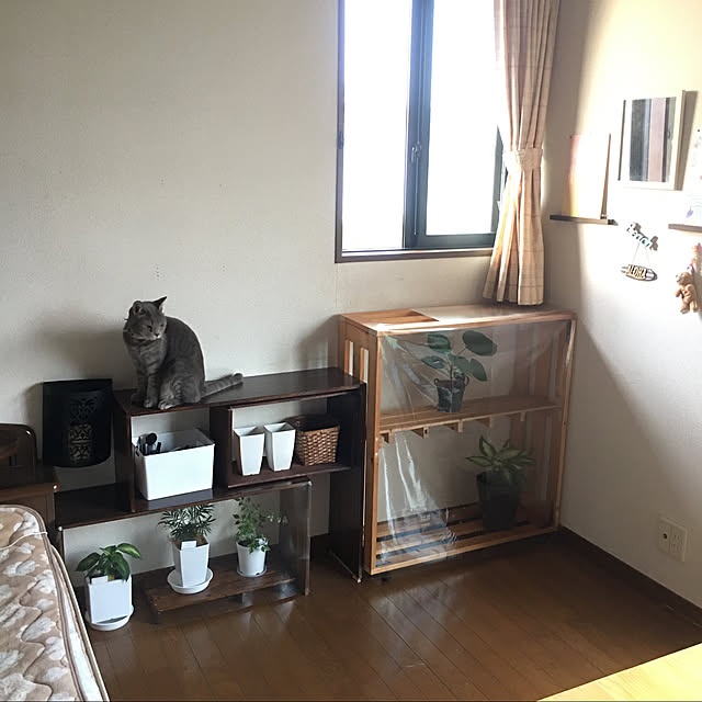 ayuさんの実例写真