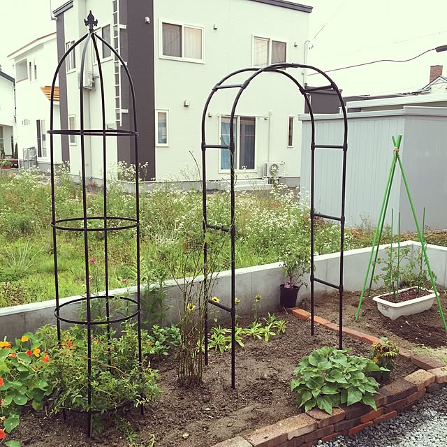 hiroさんの実例写真