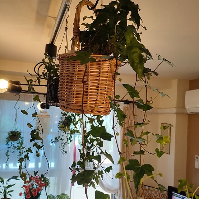 Yoko622さんの実例写真