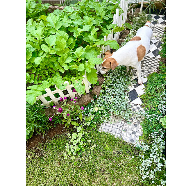 kittyさんの部屋