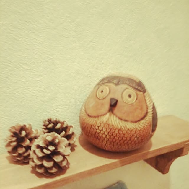 aiさんの実例写真