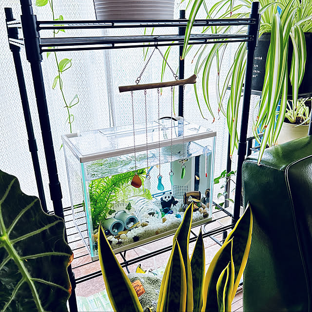 haruさんの部屋