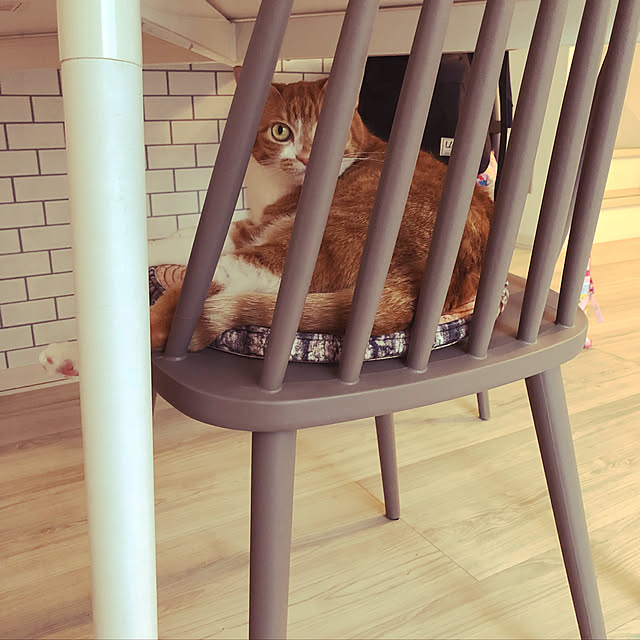 myuuさんの実例写真