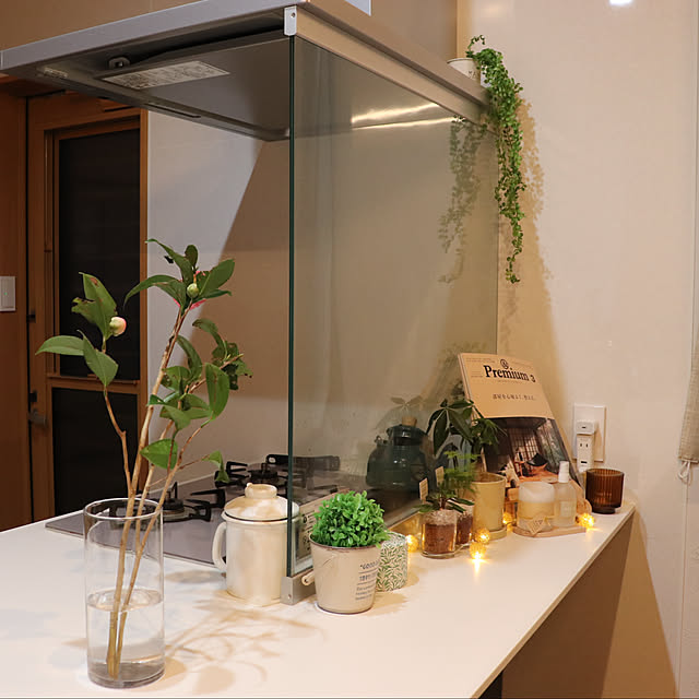 pchanさんの部屋