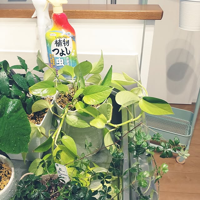 tan5さんの部屋