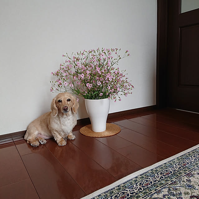 cocoさんの実例写真