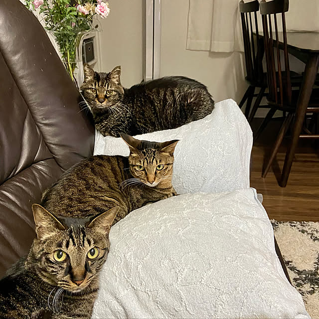 kouさんの実例写真