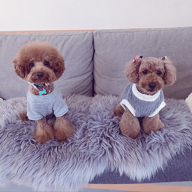 cocoaさんの実例写真