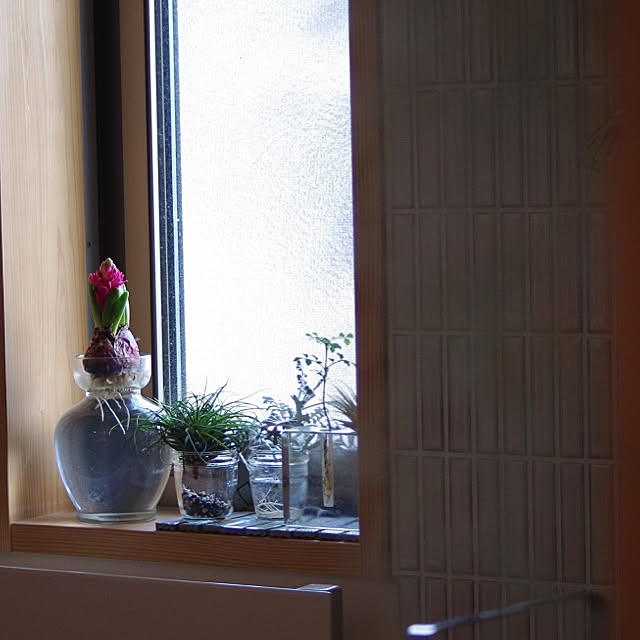 sugomoliさんの実例写真