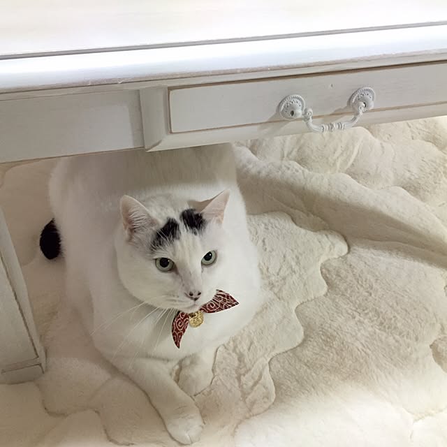 miさんの実例写真