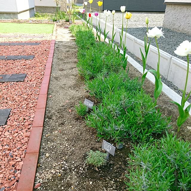 Nさんの実例写真