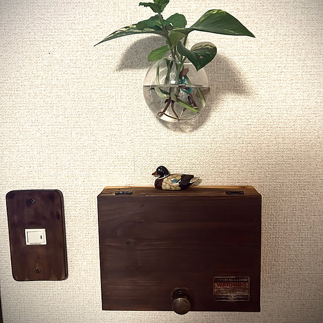Kotaroさんの実例写真