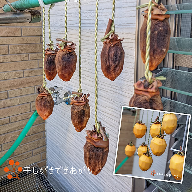 junさんの実例写真