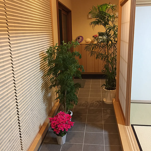 cherryさんの実例写真