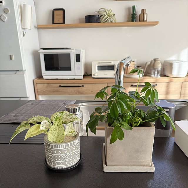 shior_i1108さんの実例写真