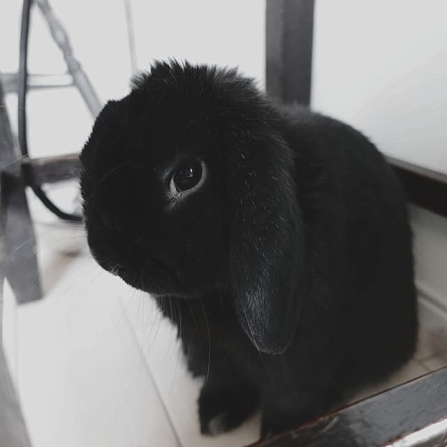 coco.Apartmanさんの実例写真