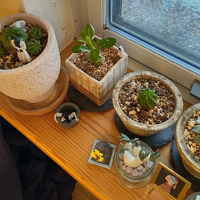 t.yumiさんの実例写真