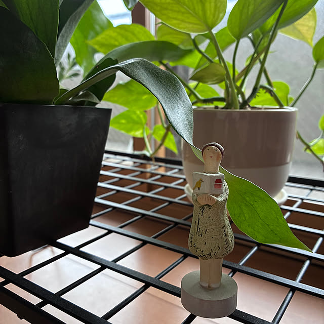 sakiさんの実例写真