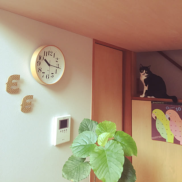 kachumomoさんの実例写真