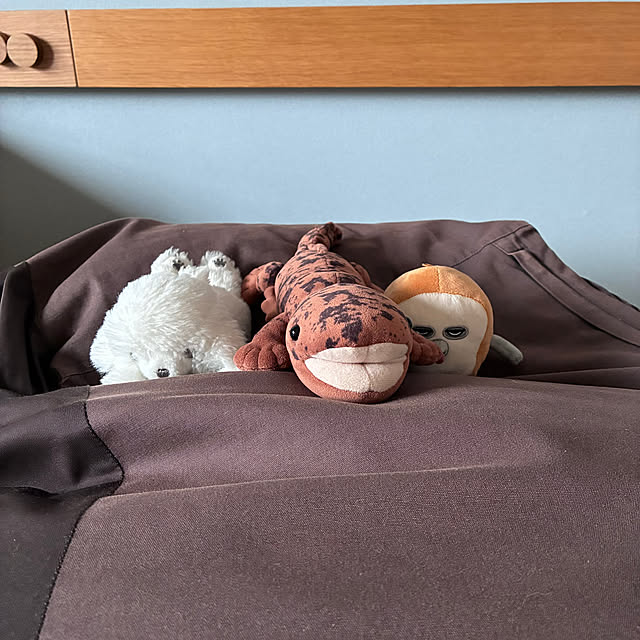 sakiさんの実例写真