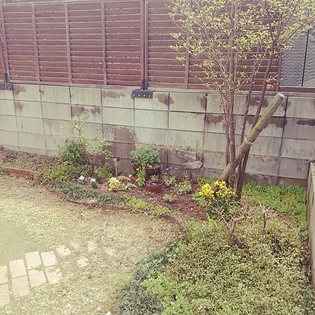 mi-koさんの実例写真