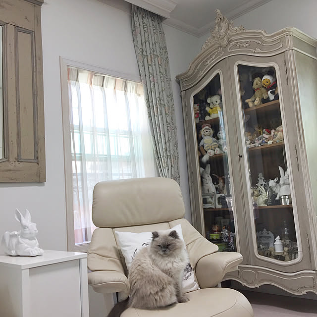 yuchiさんの実例写真