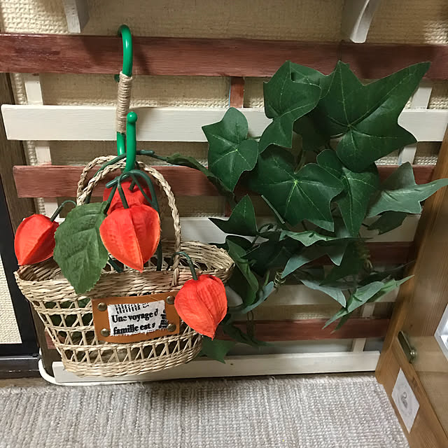 watakoさんの実例写真
