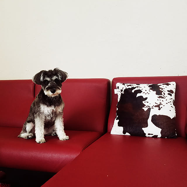 Mariさんの実例写真