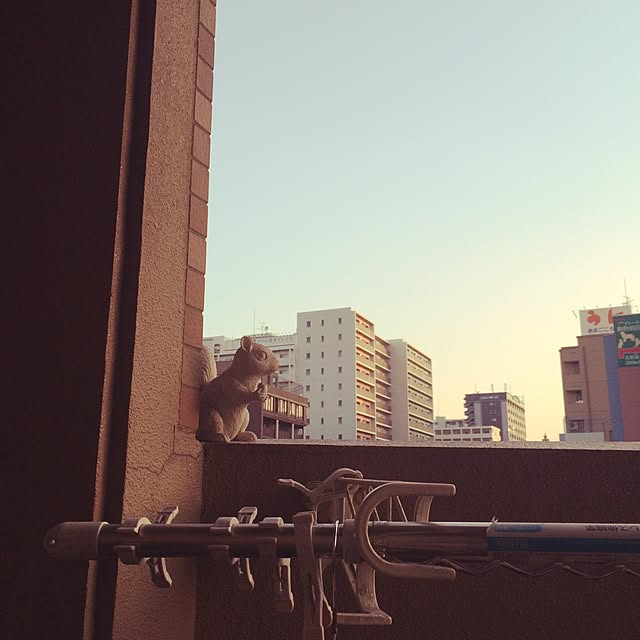 enuさんの実例写真