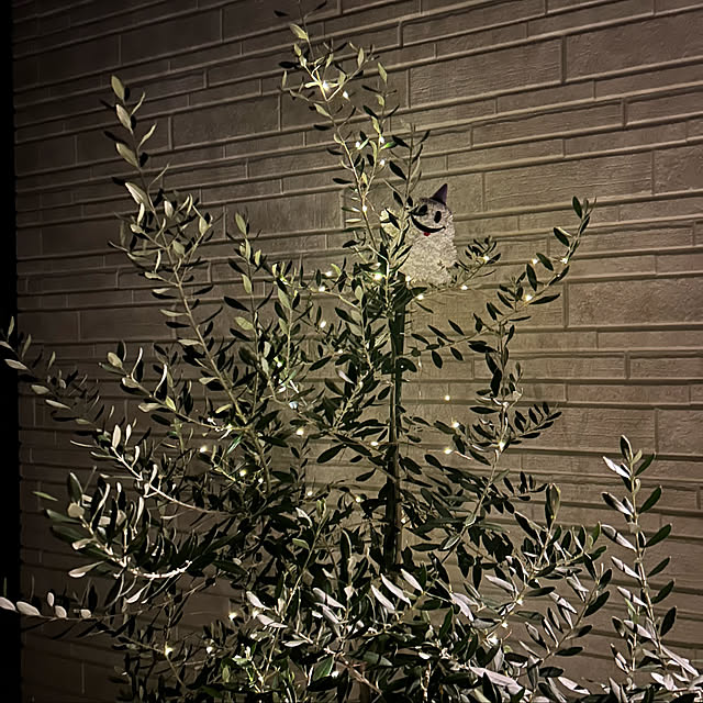 miffy.0044さんの部屋