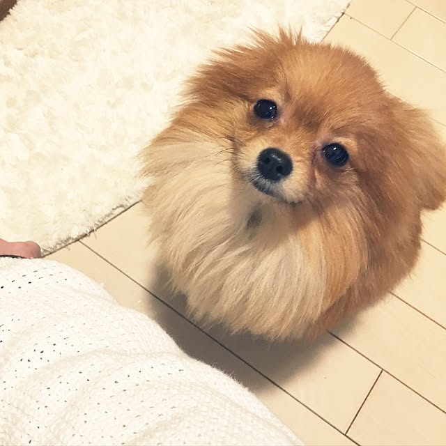 _____MK___さんの実例写真