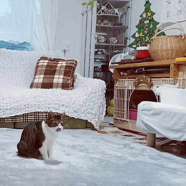 civicglさんの部屋