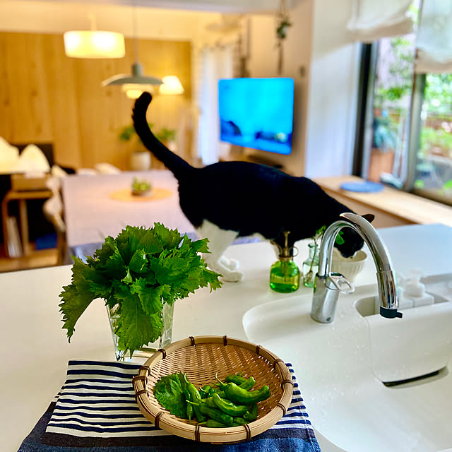 pooさんの実例写真