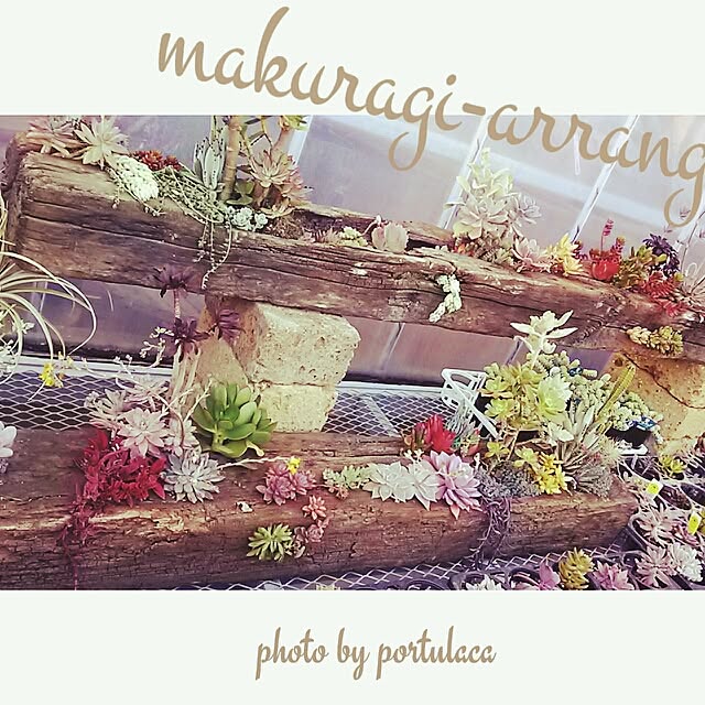portulacaさんの実例写真