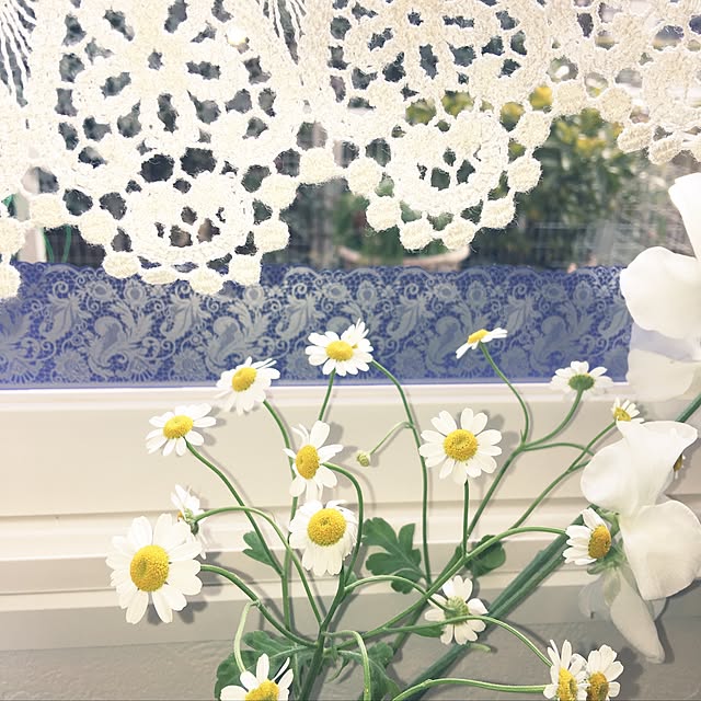 Sakura_hanaさんの実例写真