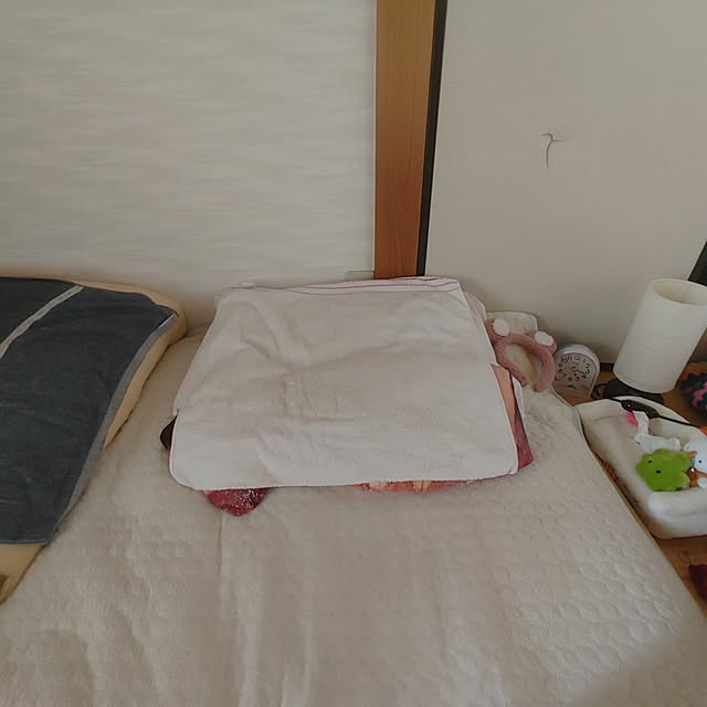 Mamiさんの実例写真