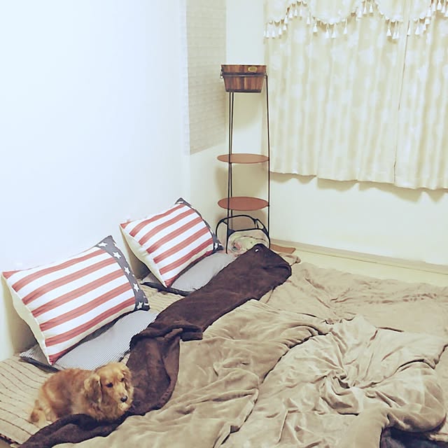 maimaiさんの実例写真