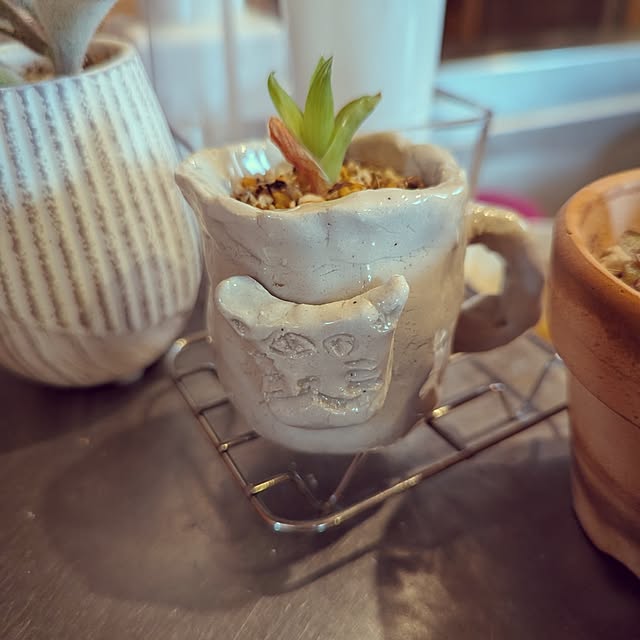 gin-chanさんの部屋