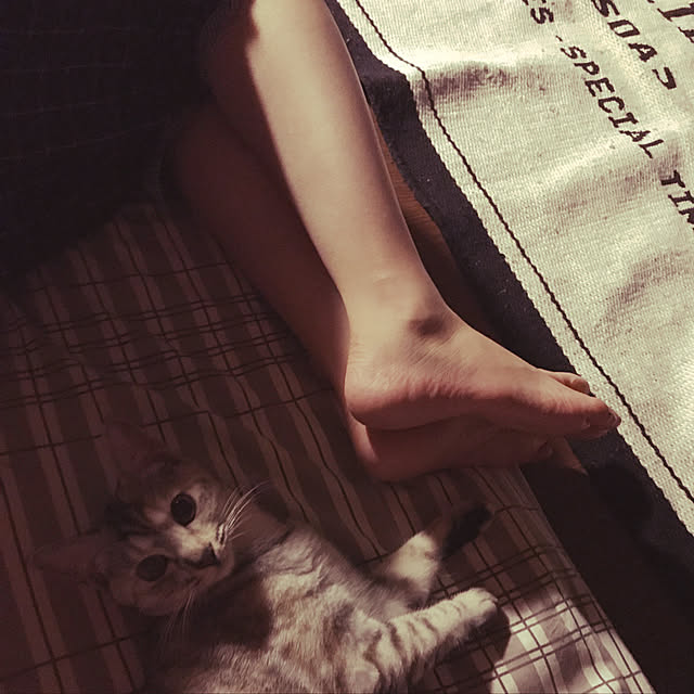 hiroikumi4201さんの実例写真