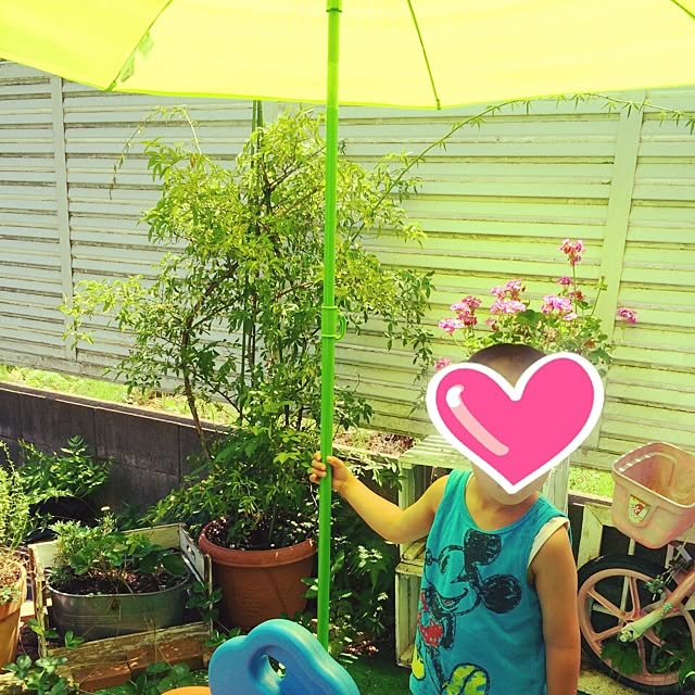 sorahareさんの実例写真