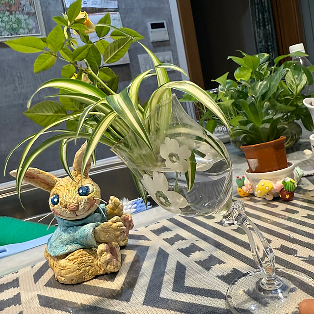 Aqettyさんの部屋