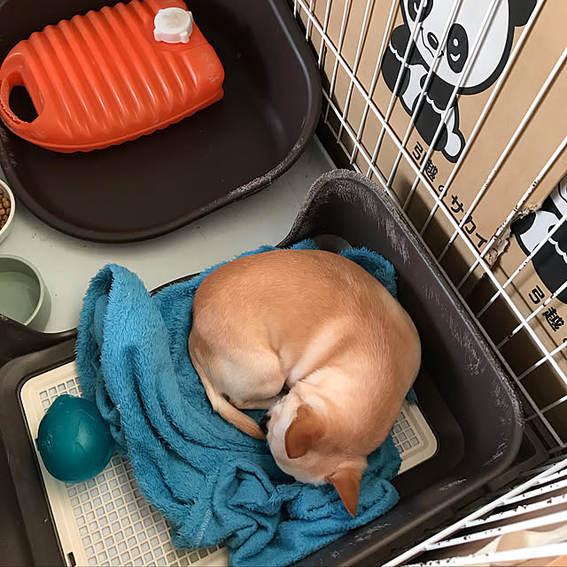 nacchintunnさんの実例写真