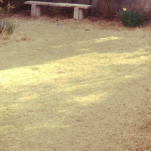 omoideinmy45さんの実例写真