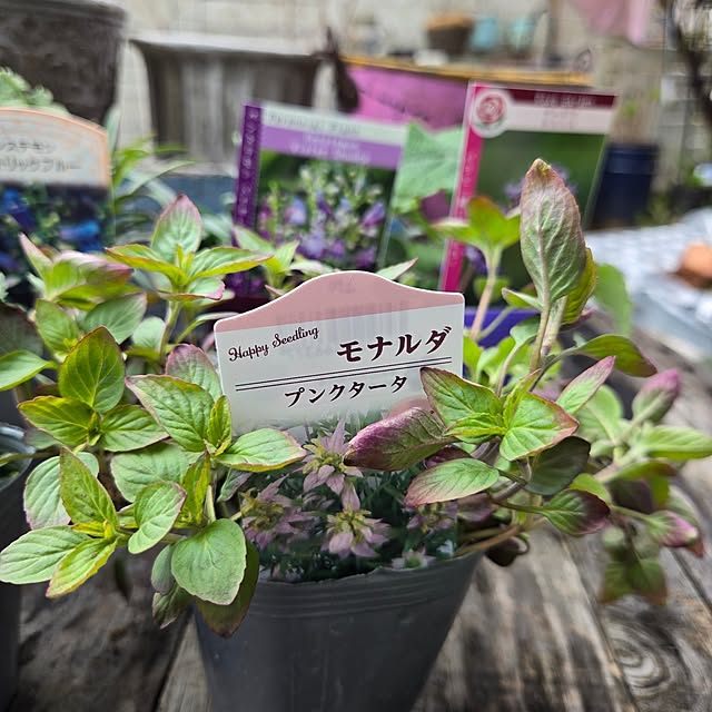 min_nimさんの部屋